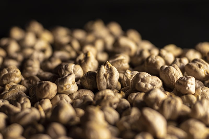 Les aliments riches en fer essentiels pour les femmes en 2026