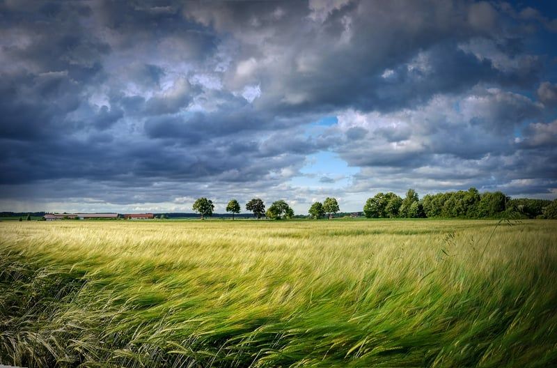L'évolution des technologies vertes en 2026 : un impact positif sur l'environnement